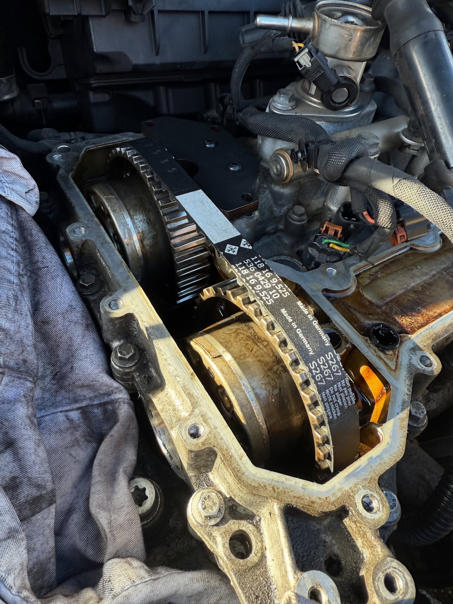 Genuine Lara AutoCentre wet belt replacement with the engine timing components exposed